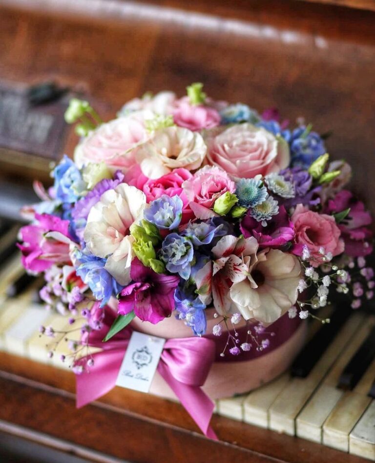 WhatsApp Image 2025-07-23 at 20.01.34