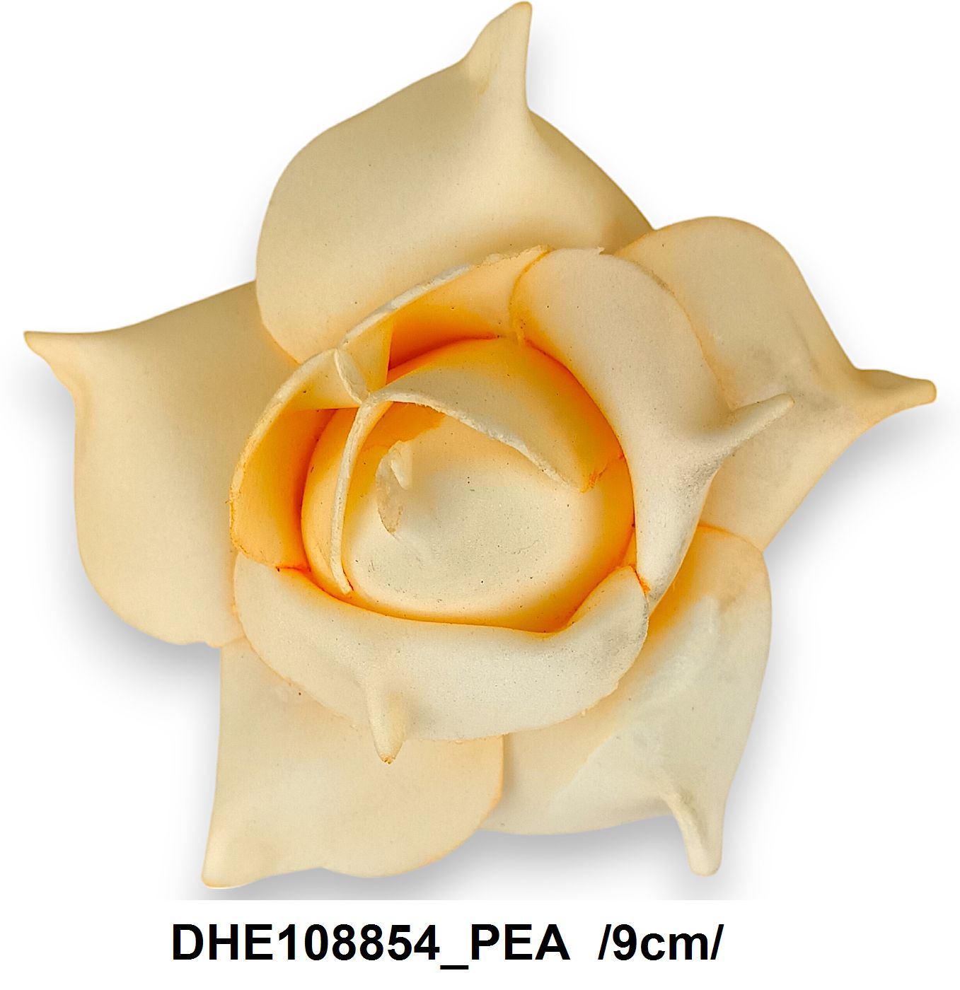 DHE108854_PEA.jpg