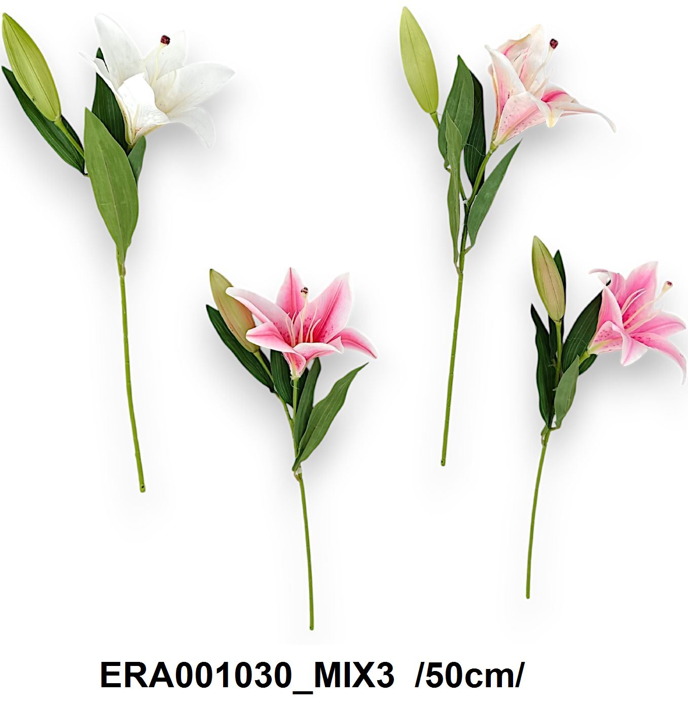 ERA001030_MIX3.jpg