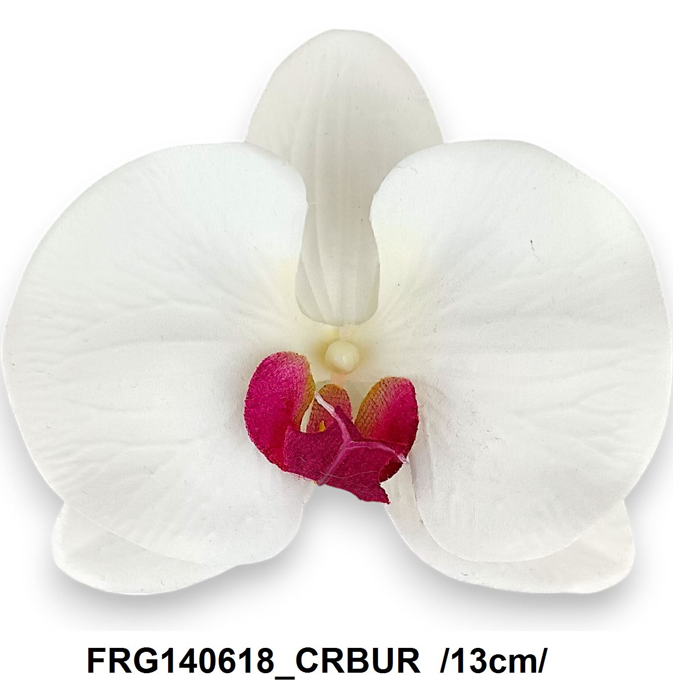 FRG140618_CRBUR.jpg