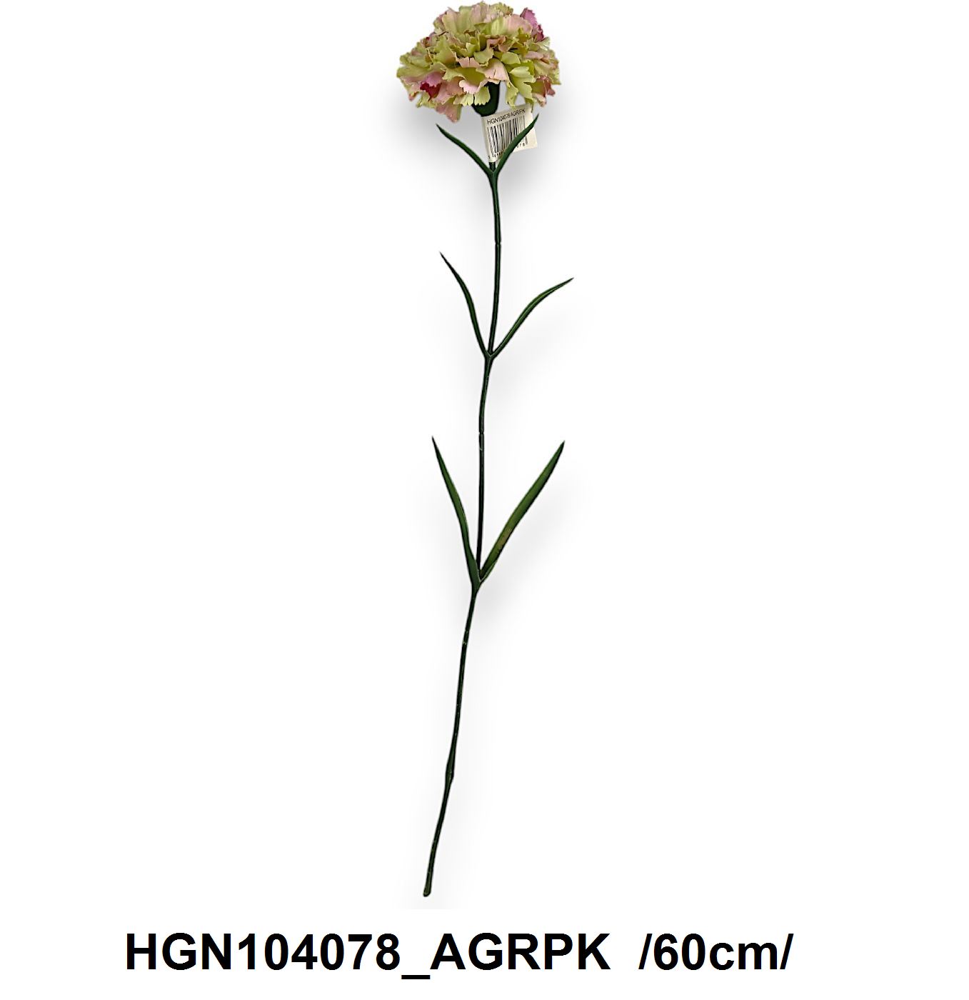 HGN104078_AGRPK.jpg