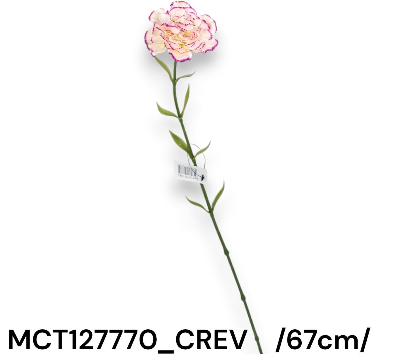 MCT127770_CREV.jpg