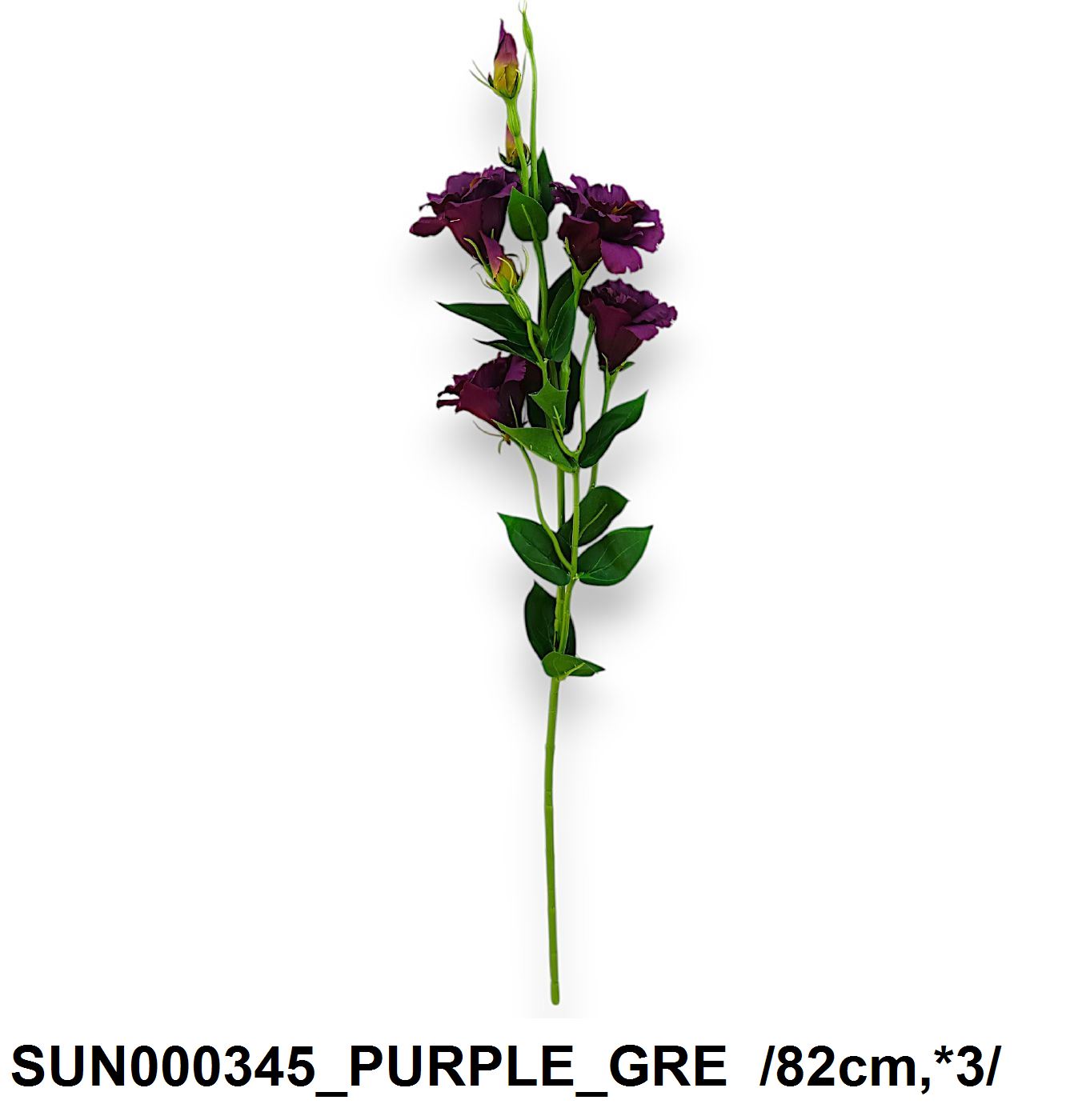 SUN000345_PURPLE_GRE.jpg