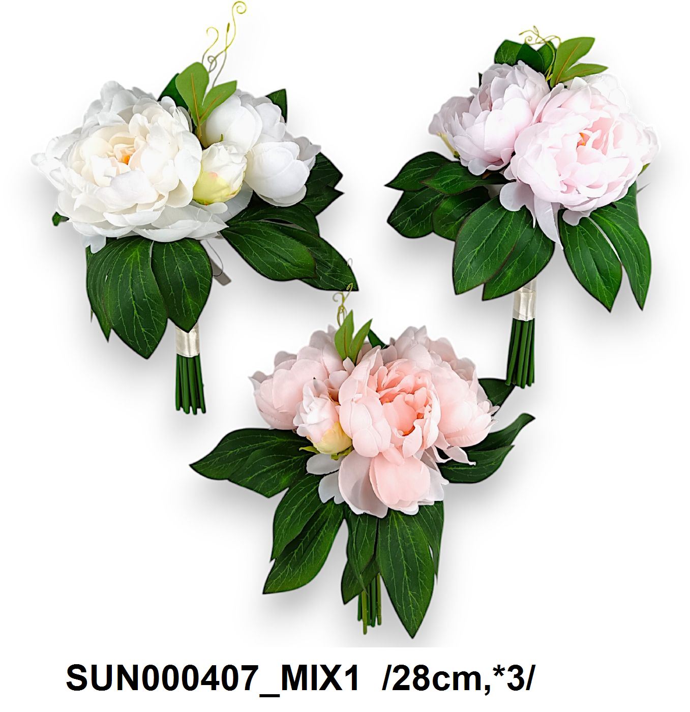 SUN000407_MIX1.jpg