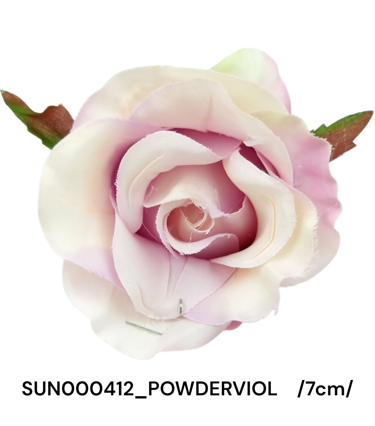 SUN000412_POWDERVIOL.jpg