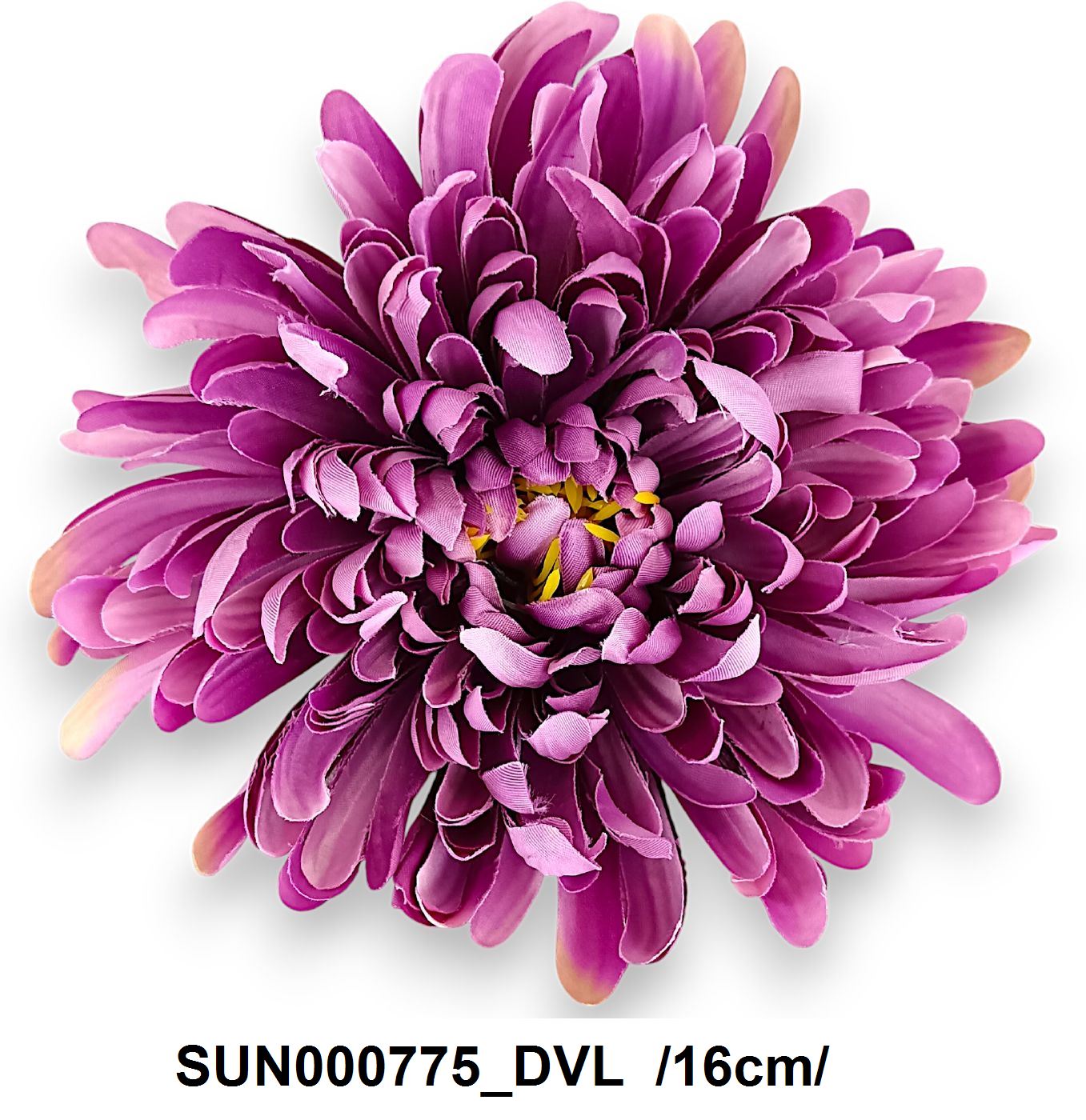SUN000775_DVL.jpg