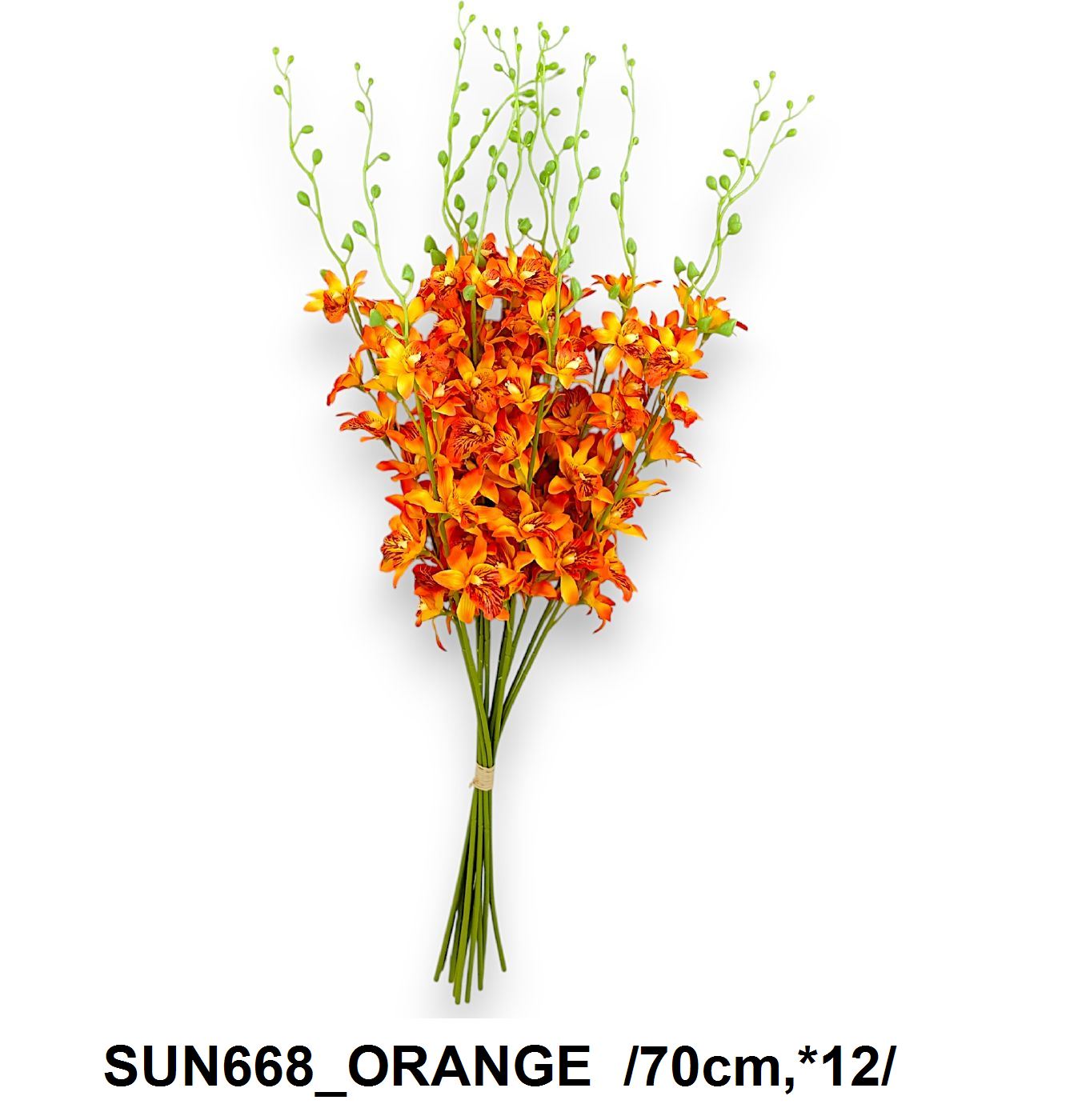 SUN668_ORANGE.jpg