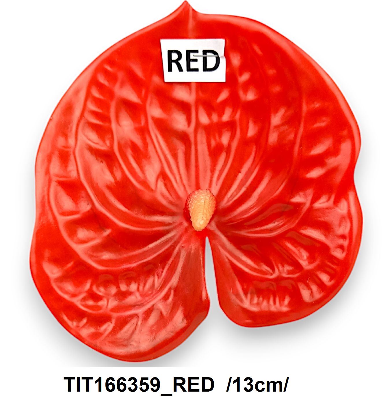 TIT166359_RED.jpg
