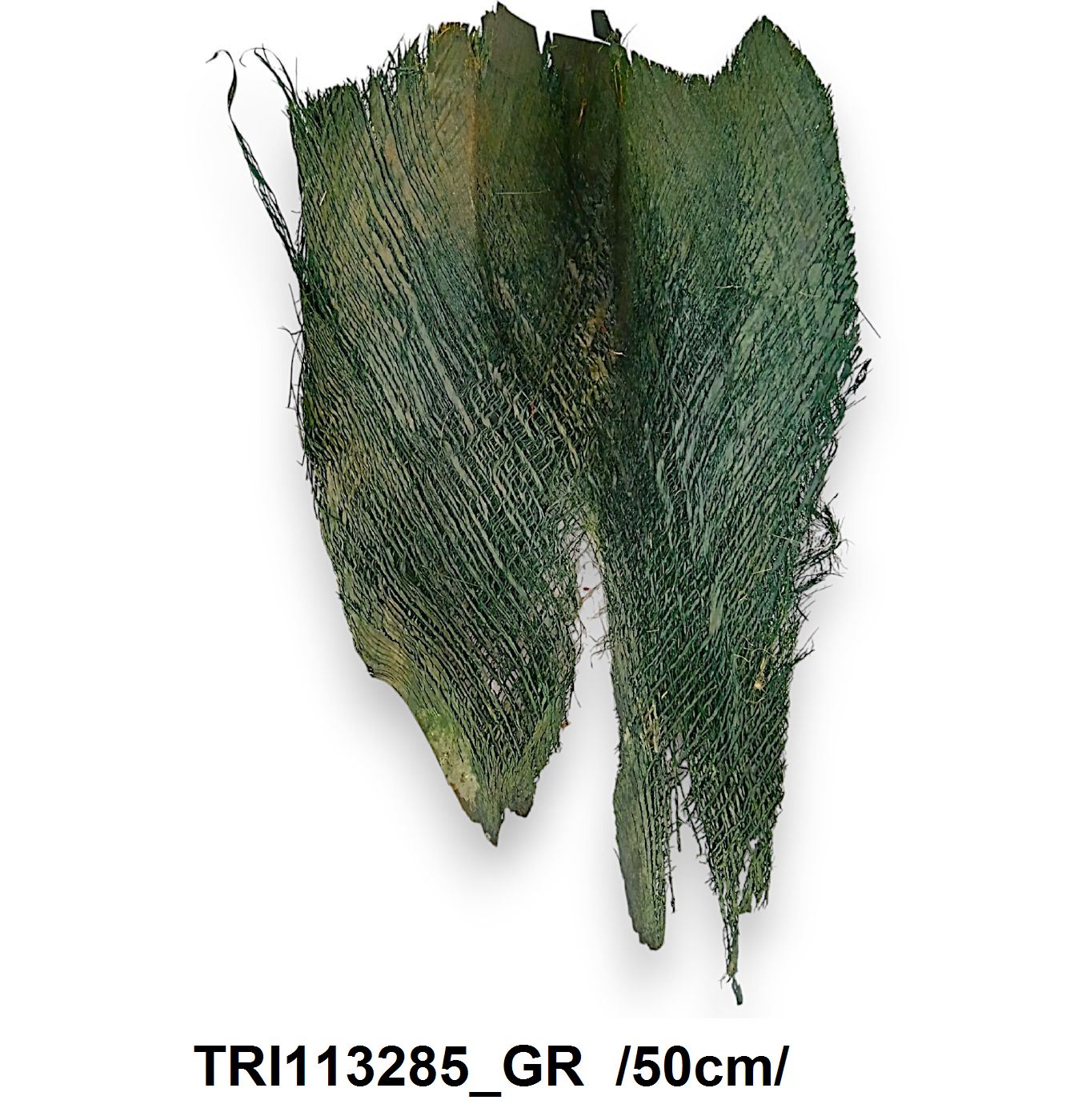 TRI113285_GR.jpg