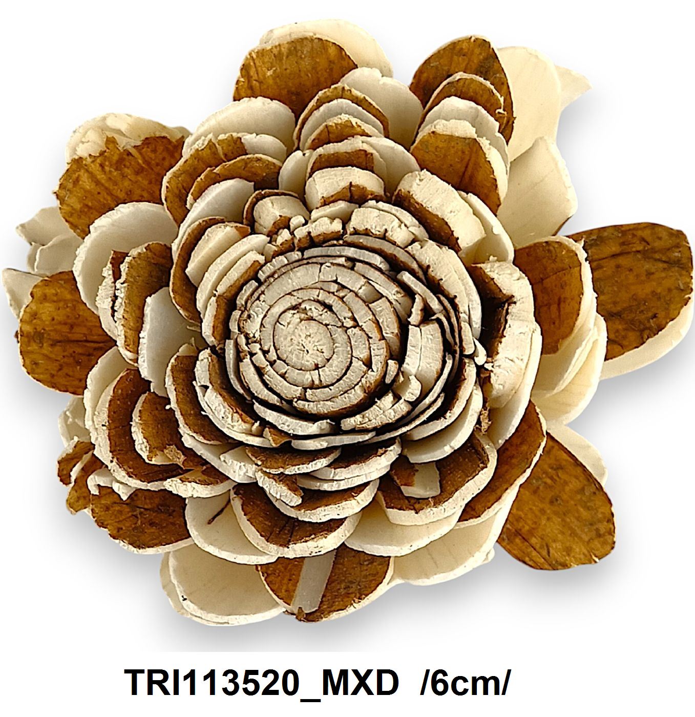TRI113520_MXD.jpg