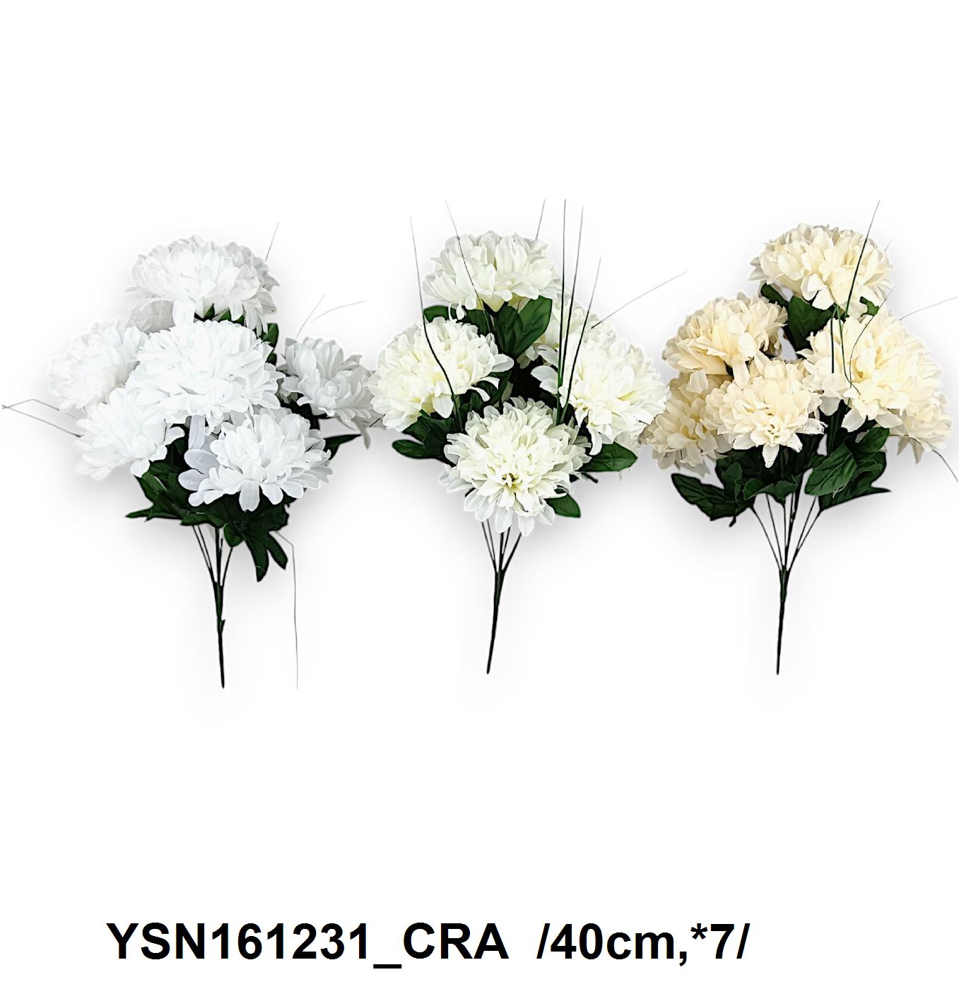 YSN161231_CRA.jpg