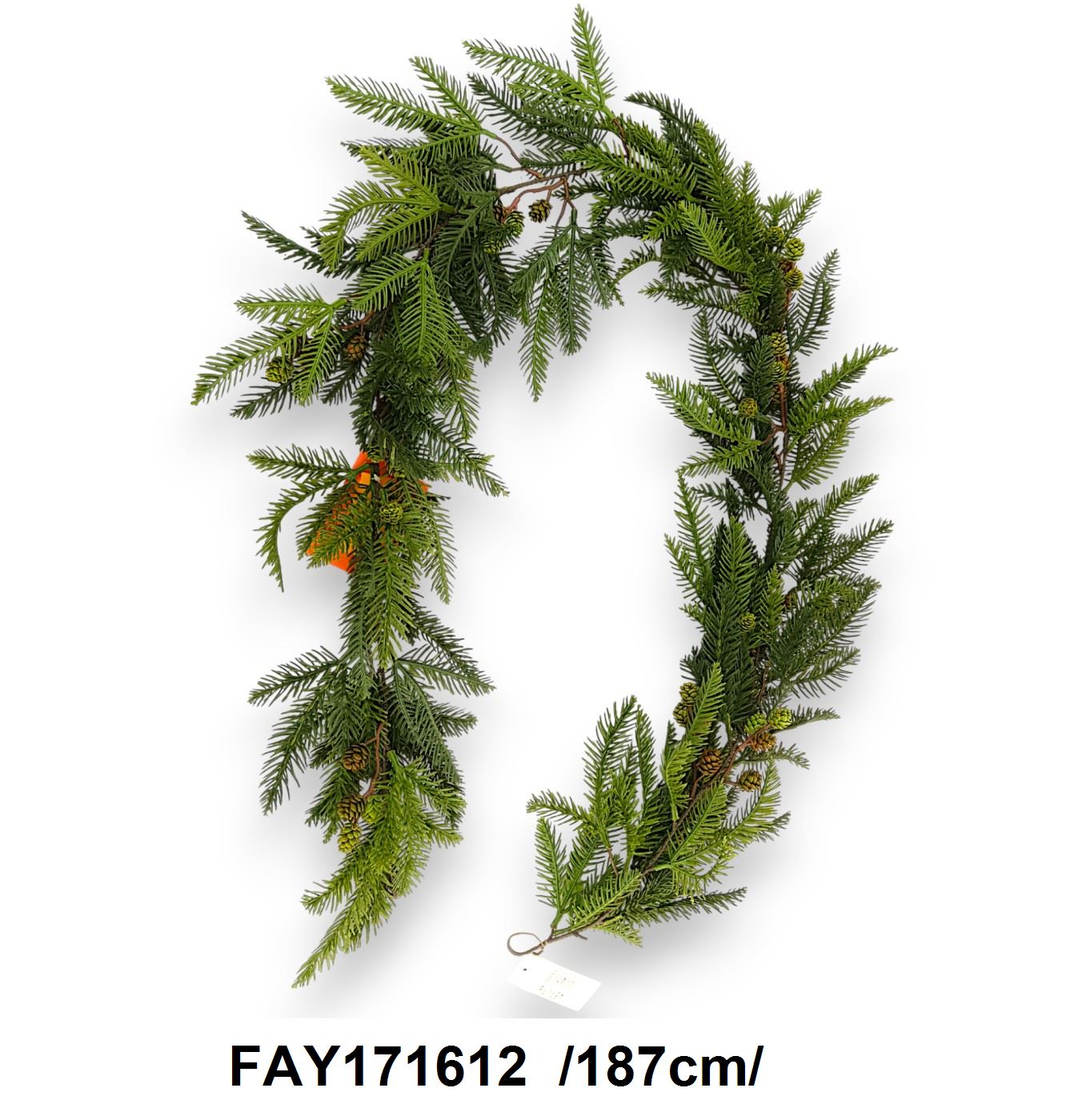 FAY171612.jpg