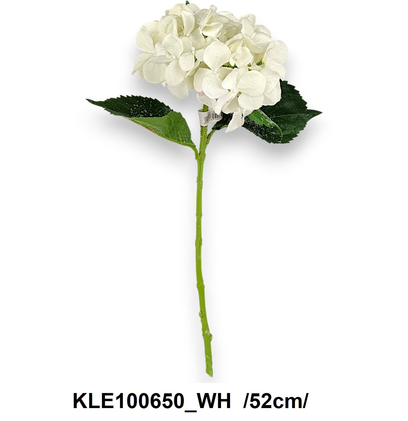 KLE100650_WH.jpg